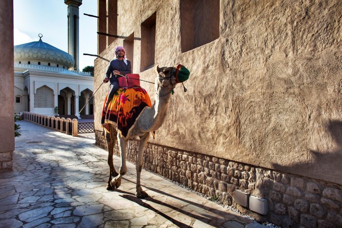 Dubai antiche dimore Riding a camel