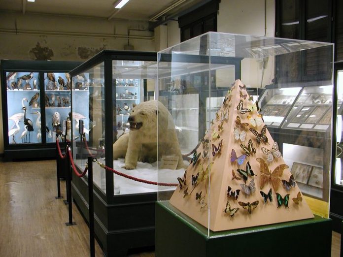 Ferrara Museo Storia Naturale