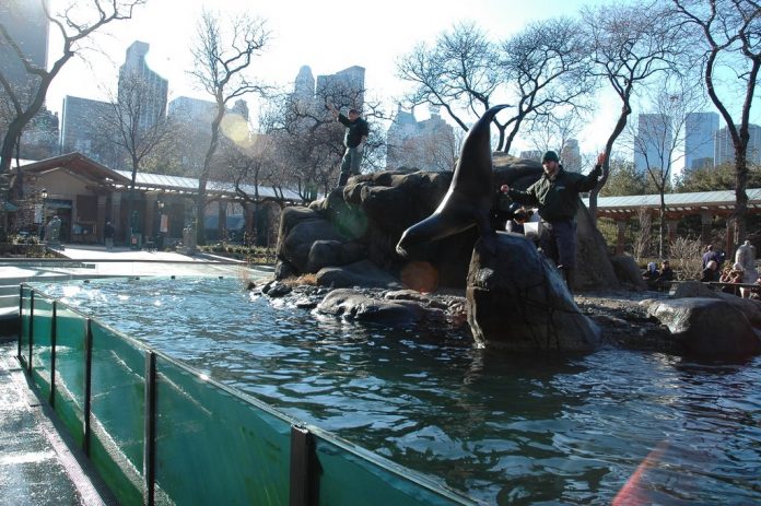 New York Central Park Zoo