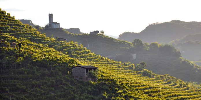 Veneto Colline Prosecco