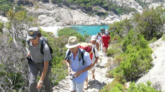 Isola di Montecristo