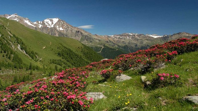 Parco Nazionale dello Stelvio