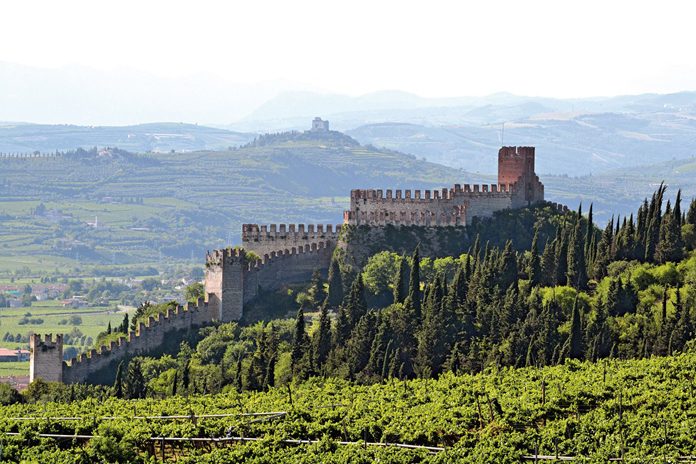 Soave