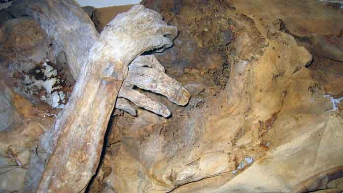 Venzone Mummie