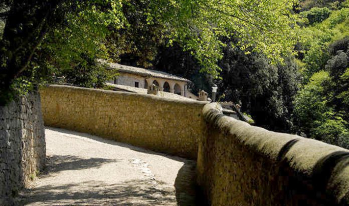 Assisi bosco di lecci