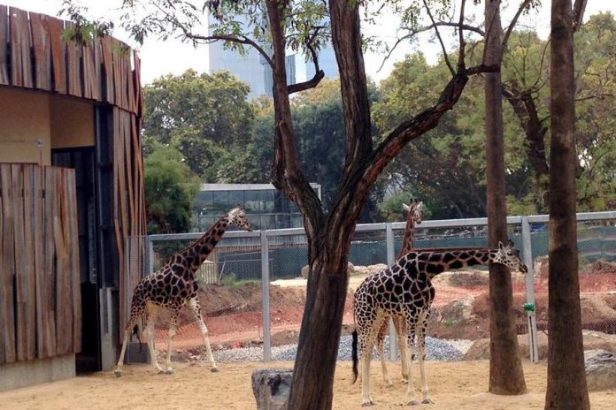 Barcellona Parco Zoologico