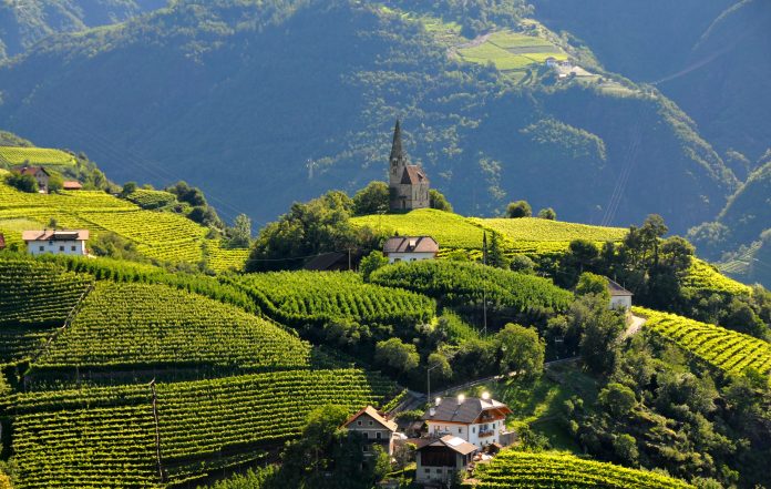 Bolzano Vigneti