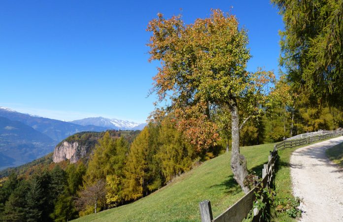 Bolzano Boschi del Salto