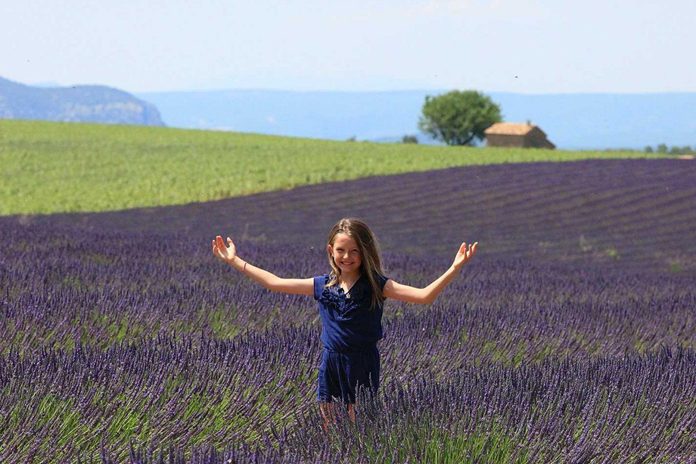 Campi Lavanda Provenza