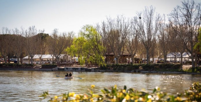 cose da vedere a madrid Casa del campo