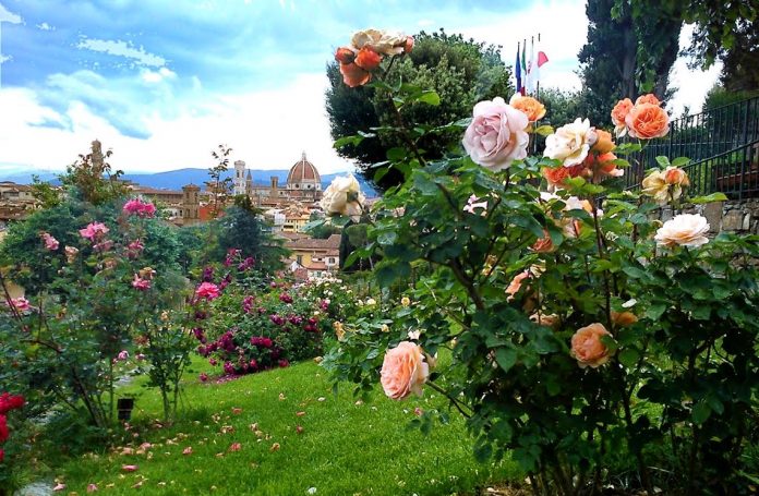 Firenze Giardino delle Rose