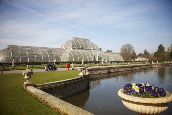 Londra Kew Gardens