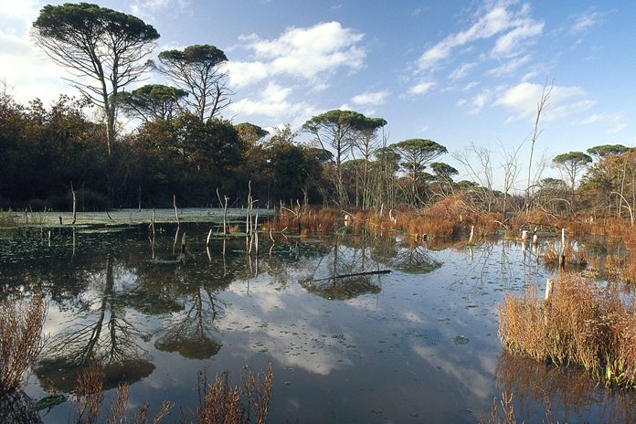 Parco delta del Po