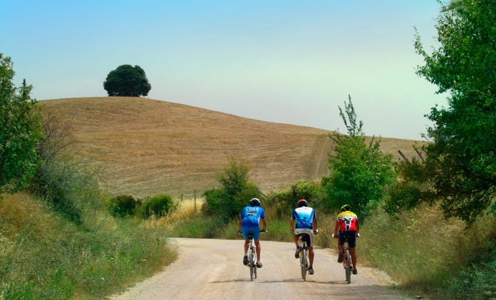 Siena in bici campagna