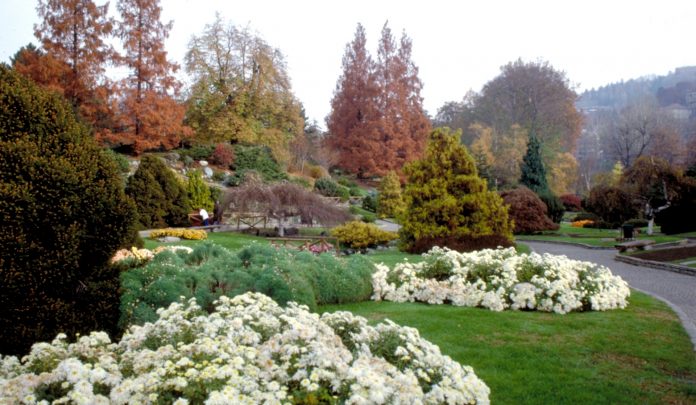 Torino Giardino Roccioso