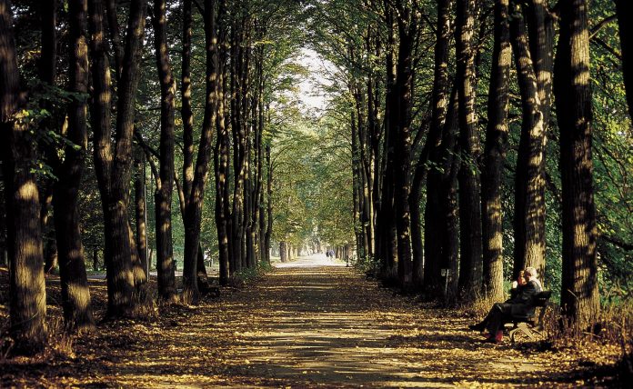 Torino Parco Mandria