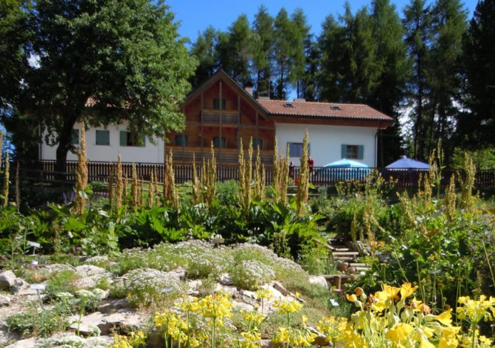 Trento Giardino Botanico Alpino