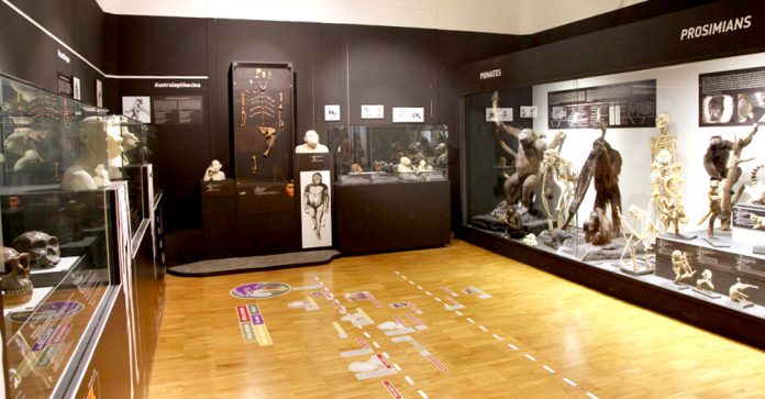 Trieste Museo Storia Naturale