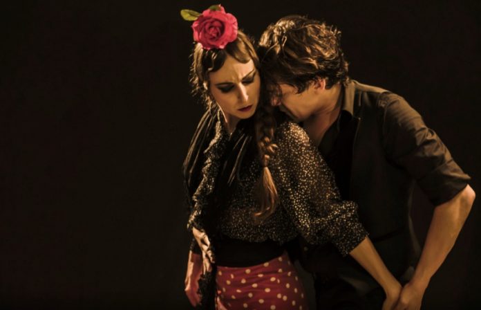 flamenco a madrid da vedere